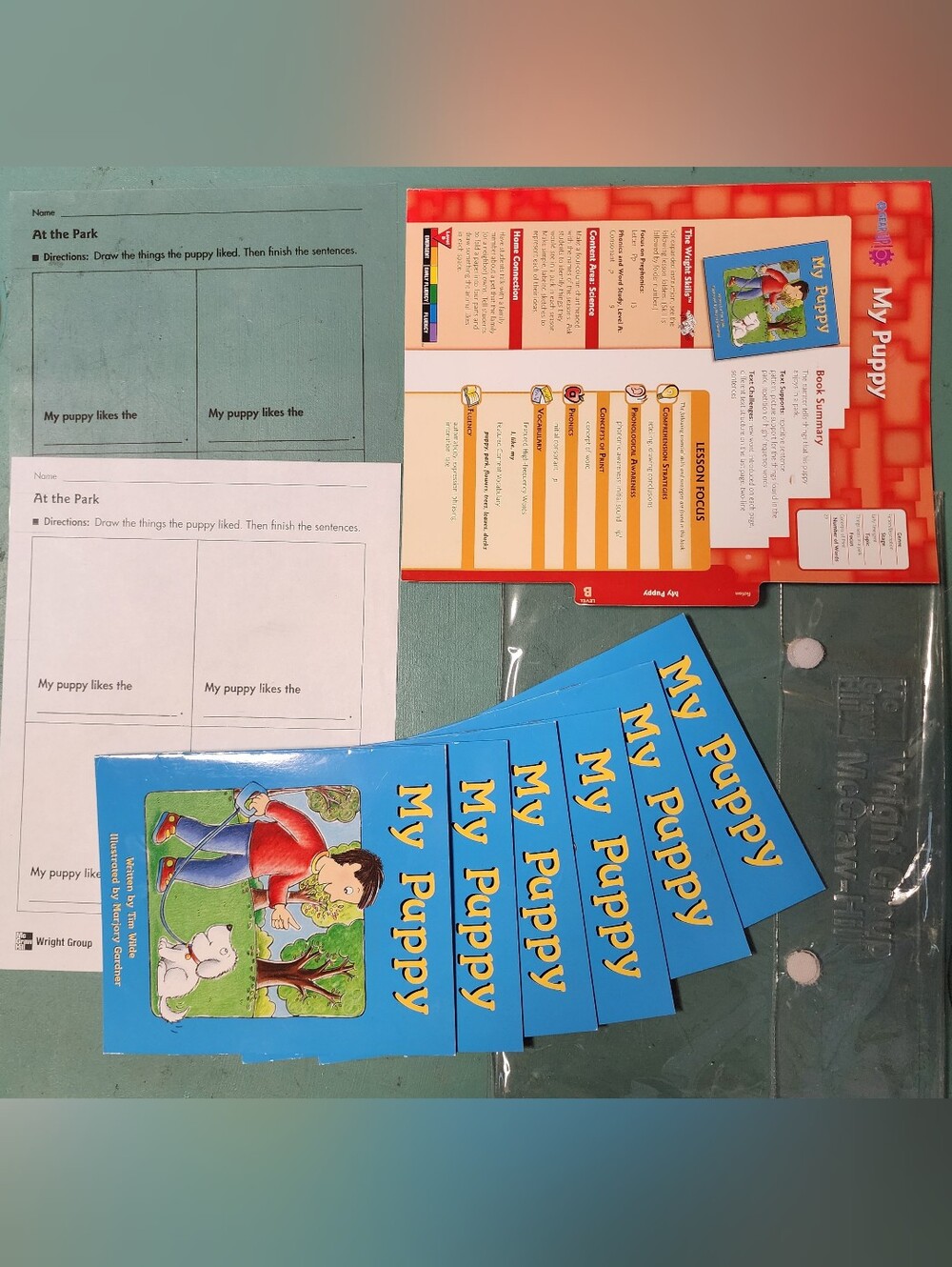 Gear Up! Level B Guided Reading "My Puppy"